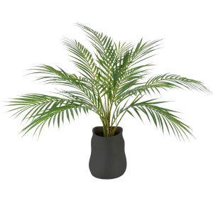 Rogue Phoenix Palm-Maliah Pot Green & Black 60x60x64cm