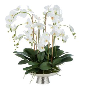 Society Home Grand Phalaenopsis Plant-Antique Silver Platter White/Silver 64x55x84cm