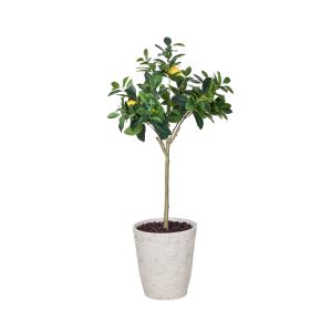 Rogue Lemon Tree-Rustic Stone Look Planter Pot Green & Cream 80x71x137cm