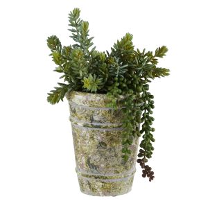 Rogue Foxtail String of Pearls Mix-Distressed Cement Pot Green & Brown 20x20x35cm