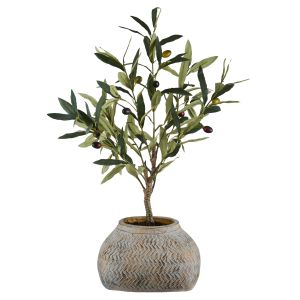 Rogue Olive Tree-Distressed Cement Weave Pot Green & Brown 43x43x64cm