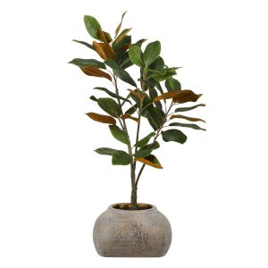 Rogue Magnolia Tree-Distressed Cement Weave Pot Green & Brown 53x53x90cm