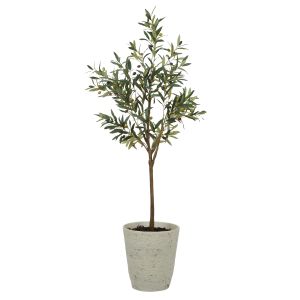 Rogue Olive Tree-Rustic Stone Look Pot Green & White 75x75x166cm
