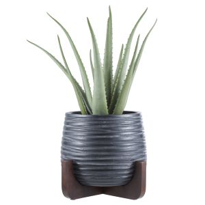 Rogue & Academy Aloe Plant-Keanu Planter Green & Black 31x31x55cm