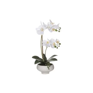 Rogue Butterfly Orchid-Stone Bowl White/Cream 25x16x46cm