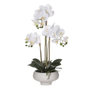 Rogue Butterfly Orchid-Stone Bowl White/Cream 32x26x58cm
