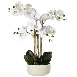 Rogue Butterfly Orchid-Stone Bowl White/Cream 48x48x64cm