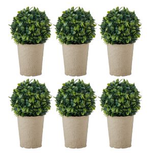Rogue Mini Topiary Plant Green 30x23x20cm