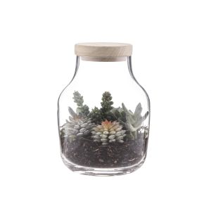 Rogue Succulent Garden-Monica Vase with Lid Green/Glass 14x14x18cm