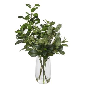 Rogue Lush Peperomia Mix-Cindy Vase Green/Clear 47x40x71cm