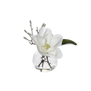 Rogue Magnolia Bud Spray-Sphere Vase White/Clear 28x20x27cm