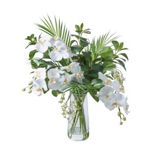 Society Home Phalaenopsis Mix-Alana Vase White/Glass 60x50x61cm