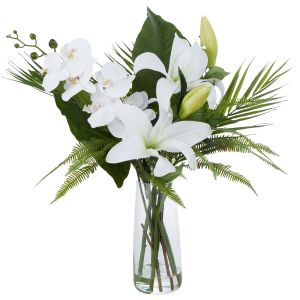 Rogue Lily Phalaenopsis Mix-Alana Vase White/Glass 69x49x73cm
