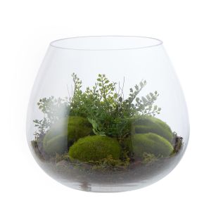 Rogue Moss Fern Terrarium-Garden vase Green/Glass 31x31x26cm