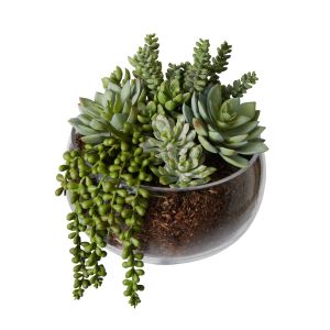 Rogue Succulent Mix-Scarlett Bowl Green/Glass 24x22x27cm