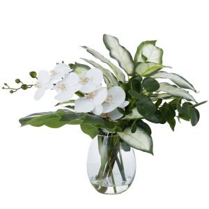 Rogue Phalaenopsis Exotic Mix-Claire Vase White/Glass 63x62x47cm