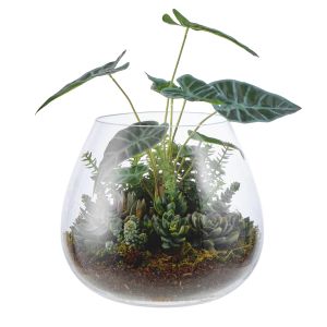 Rogue Alocasia Succulent Garden-Garden Vase Green/Glass 30x30x39cm