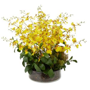 Rogue Dancing Orchid Garden Mix-Madelyn Bowl Yellow/Glass 66x66x67cm