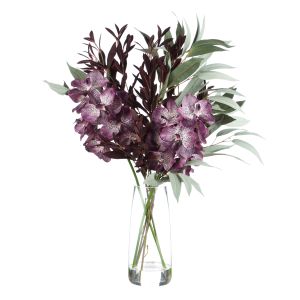 Rogue Vanda Orchid Astilbe Spray Mix-Alana Vase Burgundy & Green 66x35x65cm
