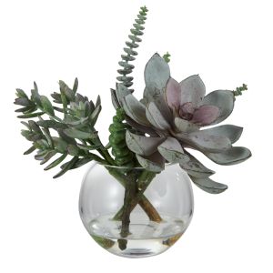 Rogue Echeveria Sedum Mix-Phoebe Sphere Vase-Orson Pot Green & Burgundy 30x32x27cm