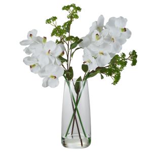 Rogue Vanda Orchid Skimmia Mix-Alana Vase White 40x32x52cm