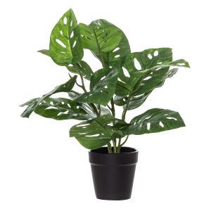 Rogue Monstera Bush-Garden Pot Green/Black 30x30x34cm