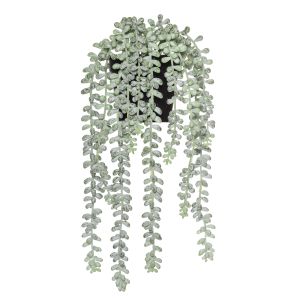 Rogue Hanging Pearls-Garden Pot Green/Black 15x15x32cm