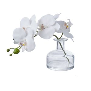 Rogue Phalaenopsis-Glass Vase White 22x10x8cm