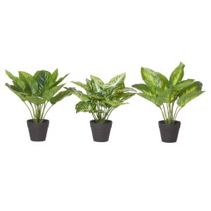 Rogue Indoor Plants-Garden Pot 3 Asst Variegated/Black 25/25/25cm