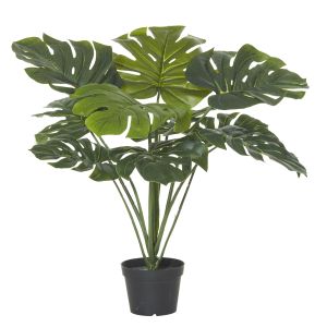 Rogue Monstera Plant-Garden Pot Green/Black 60x60x75cm