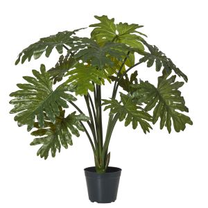 Rogue Sellium Philo Plant-Garden Pot Green/Black 56x56x70cm
