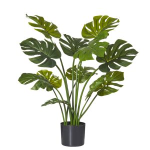 Rogue Monstera Plant-Garden Pot Green/Black 41x41x90cm