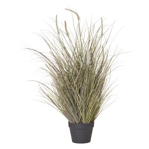Rogue Fountain Grass-Garden Pot Green/Purple 70x70x92cm
