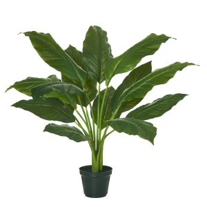 Rogue Spathiphyllum Plant-Garden Pot Green 55x55x64cm