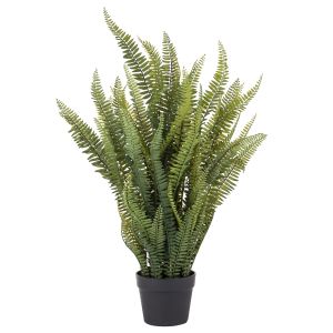 Rogue Boston Fern-Garden Pot Green 31x31x86cm