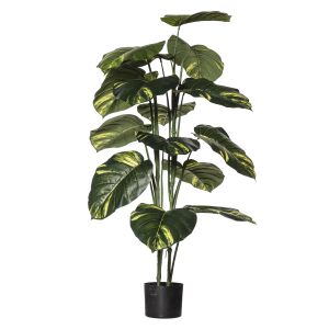 Evergreen by Rogue Pothos Plant-Garden Pot Variegated & Black 70x70x120cm