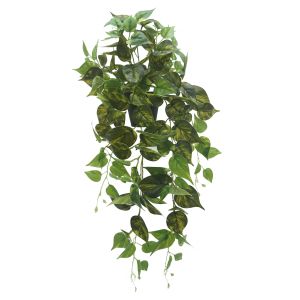 Evergreen by Rogue EG Phothos Hanging-Garden Pot Green 40x40x80cm