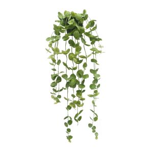Evergreen by Rogue EG Coin Leaf Hanging-Garden Pot Green 30x30x90cm