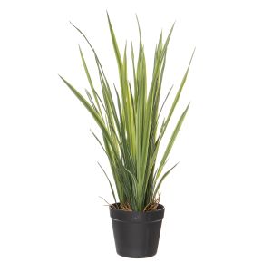 Rogue Spider Grass-Garden Pot Green/White 30x30x65cm