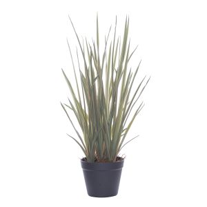 Rogue Spider Grass-Garden Pot Green/Pink 30x30x65cm