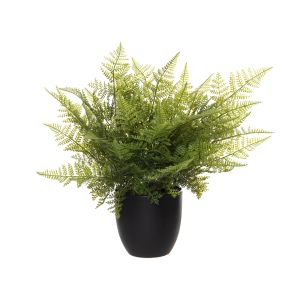 Rogue Evergreen EG Lace Fern-Garden Pot Green/Black 40x40x45cm