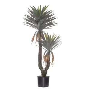 Rogue Yucca Gloriosa Plant-Garden Pot Green 80x60x150cm