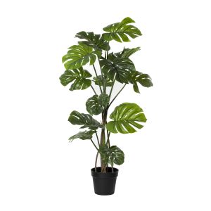Rogue Monstera Vine Plant-Garden Pot Green 80x80x120cm
