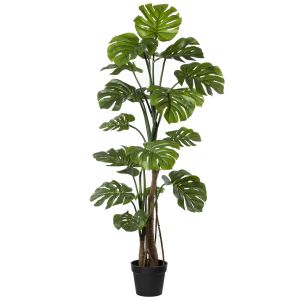 Rogue Monstera Vine Plant-Garden Pot Green 100x100x150cm