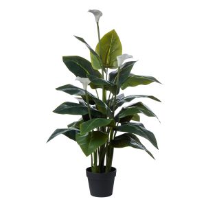 Rogue Calla Lily-Garden Pot Green 73x57x105cm