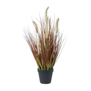Rogue Grass Plant-Garden Pot Brown 43x43x60cm