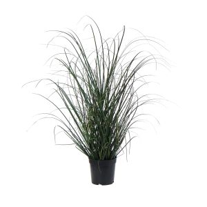 Rogue Grass Plant-Garden Pot Green 30x32x68cm