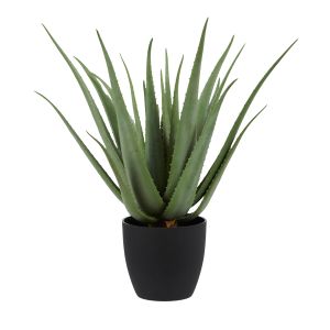 Rogue Aloe Plant-Garden Pot Green 66x54x54cm