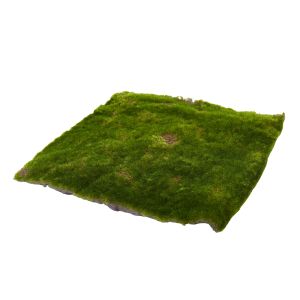 Rogue Moss Mat Green 31x31x3cm