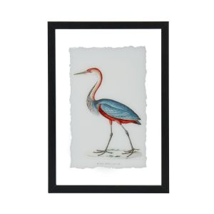 Amalfi Red Swamp Bird Wall Art White 24x2x34cm